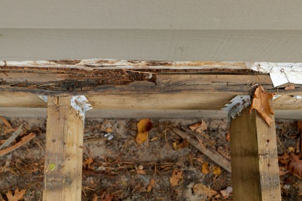Kailua Kona Wood Rot Repair