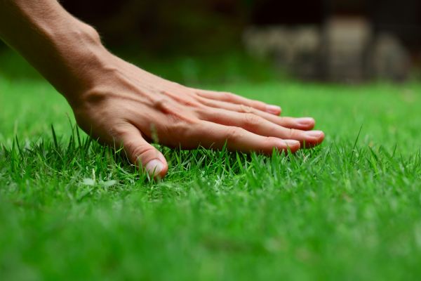 Kailua Kona Lawn Treatment