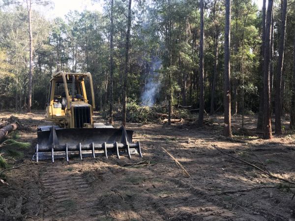Kailua Kona Land Clearing